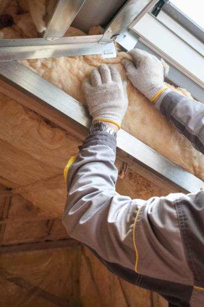 Insulation Repair Services in Princeton, WI