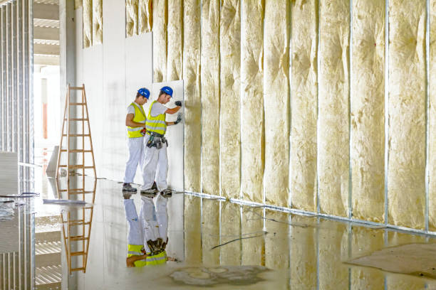 Best Affordable Insulation Services  in Princeton, WI